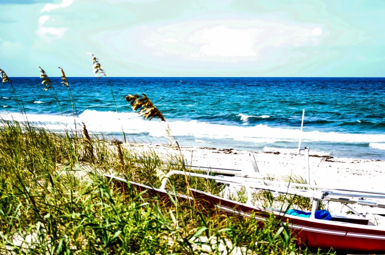 Lowcountry Landscapes SC